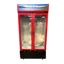 Exhibidor vertical American 36” de 17 pies cubicos.