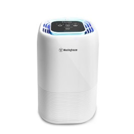 Purificador de Aire Westinghouse, 8" Blanco.