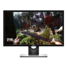 Dell SE2417HG