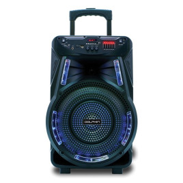 Bocina portátil Dolphin con ¨Bluetooth¨, negro.