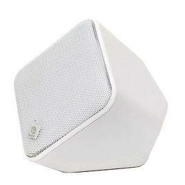Boston Acoustics SoundWare Indoor/Outdoor Speaker