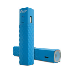 iFrogz GoLite Backup Charge with Flashlight -Blue