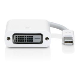 Apple Mini DisplayPort to DVI Adapter