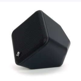 Boston Acoustics SoundWare Indoor/Outdoor Speaker - Black