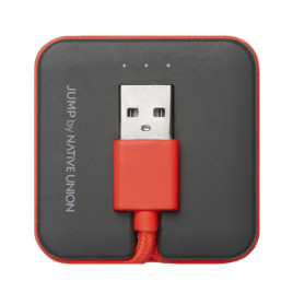 Native Union Jump 1.6' USB to Lightning Cable - Coral