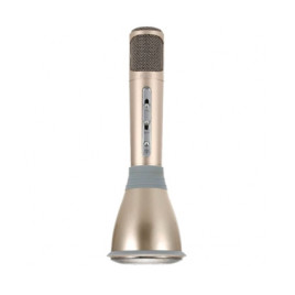 Billboard Wireless karaoke Speaker - Gold