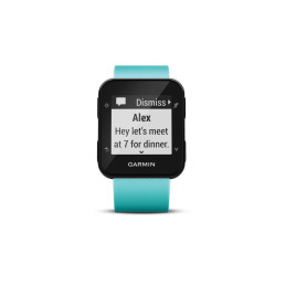 Garmin Forerunner 35 GPS Reloj de Correr con ritmo cardíaco basado en la muñeca - Frost Blue