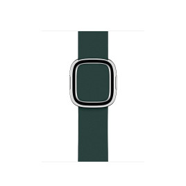 Apple 40mm Forest Green Modern Buckle Band - Large