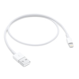 Apple Lightning to USB Cable (0.5m)